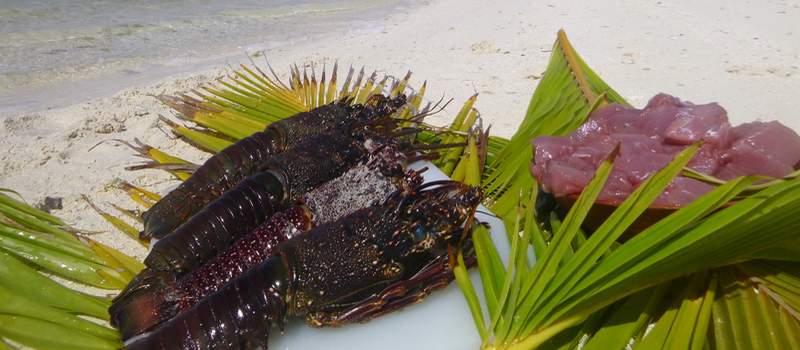 tupai-island-bora-bora-escape-lobster